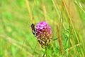 18 07 13_5470_edited-1